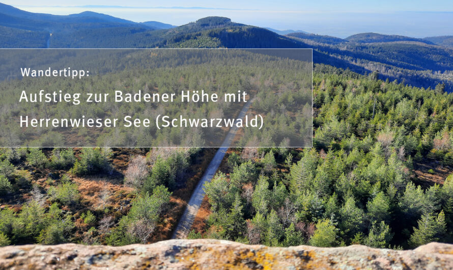 Wandertipp: Aufstieg zur Badener Höhe mit Herrenwieser See (Schwarzwald)