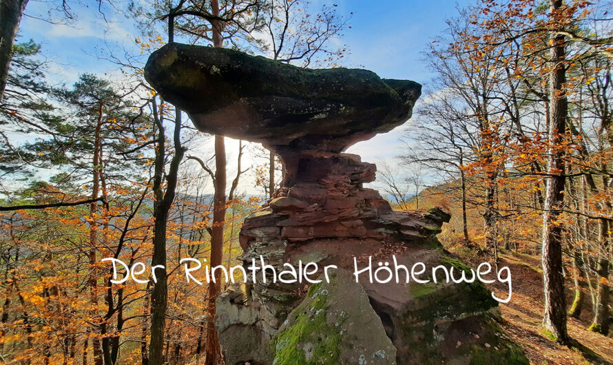 Wandertipp: Rinnthaler Höhenweg (Südpfalz)