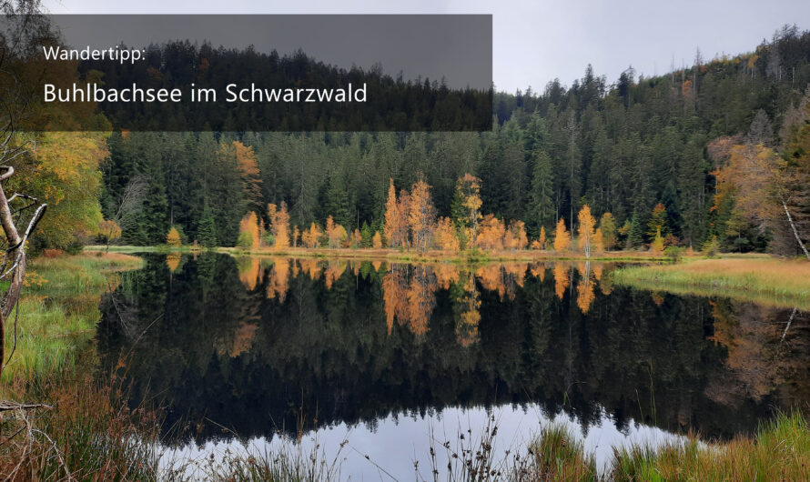 Wandertipp: Buhlbachsee im Schwarzwald