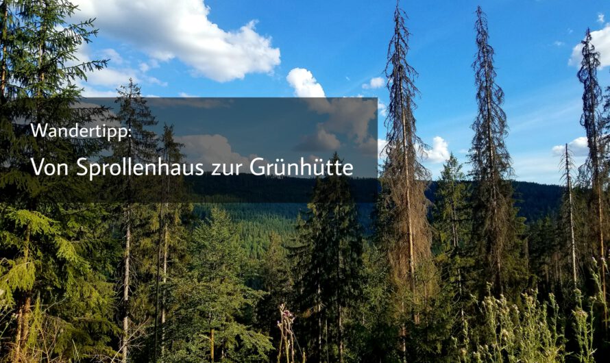 Wandertipp: Von Sprollenhaus zur Grünhütte auf dem Heidelbeerweg