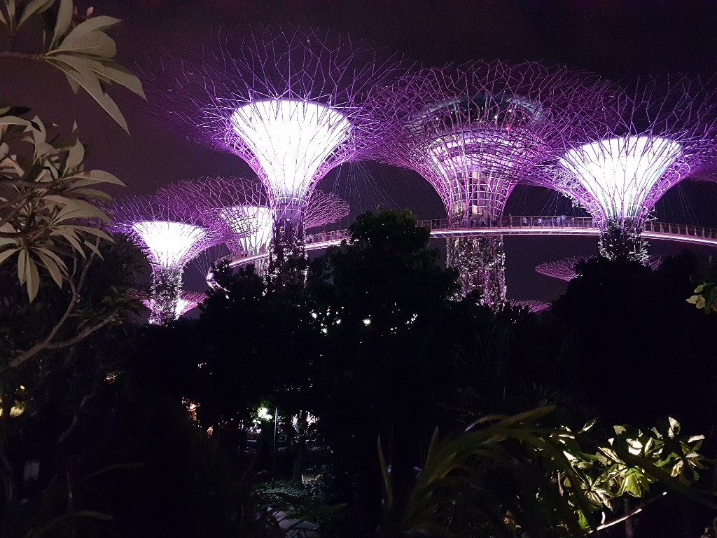 Singapore – Botanic Garden und Gardens by the Bay