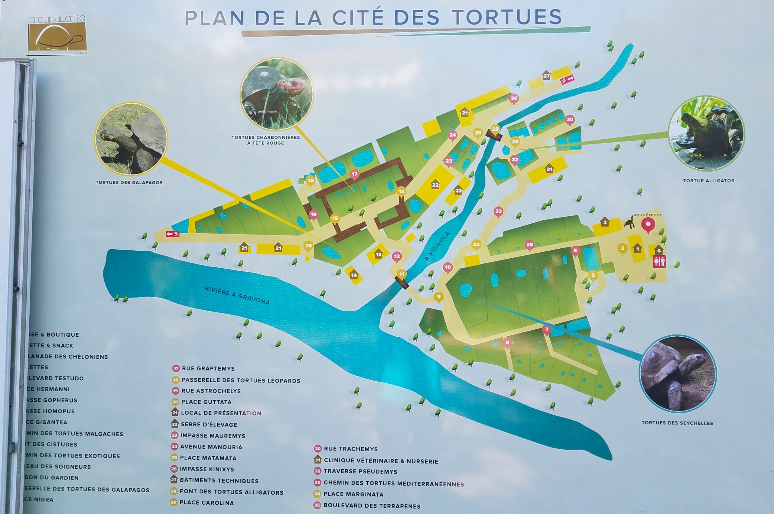 Plan vom Schildkrötenpark