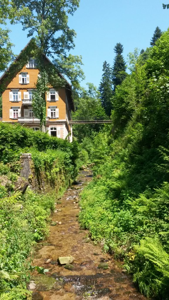 Schwarzwald Idylle
