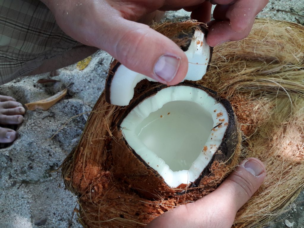 Kokosnuss geknackt