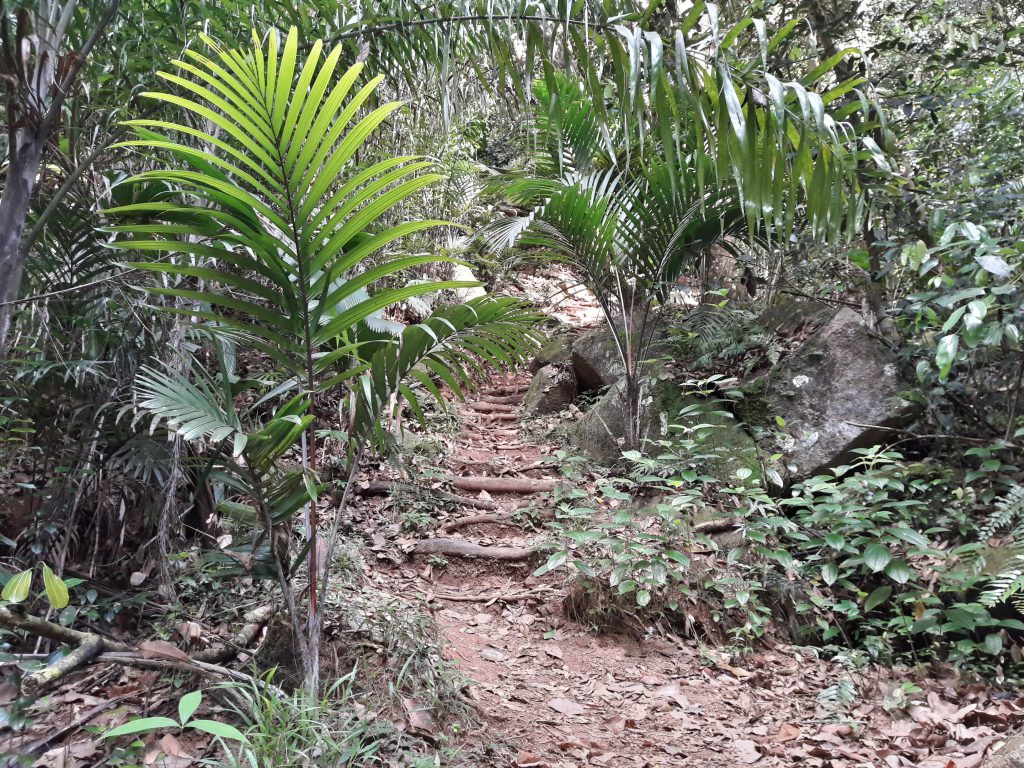 Der Trail