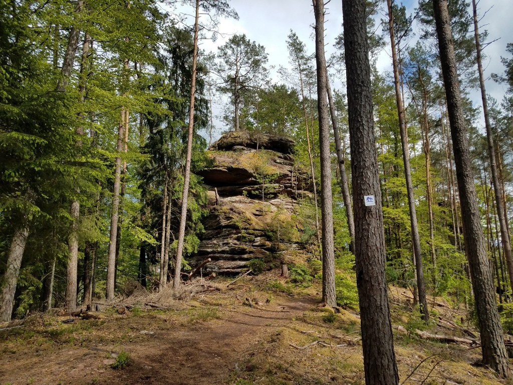 Felsformationen mitten im Pfälzerwald