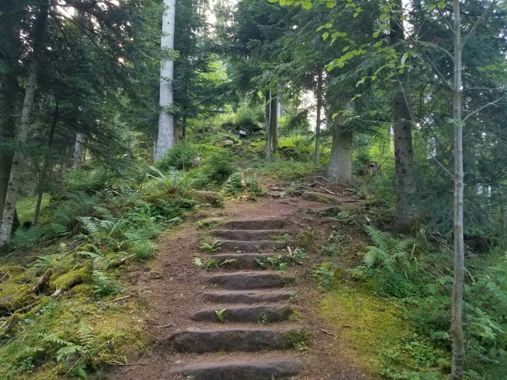 Treppen-Anlage im Wald