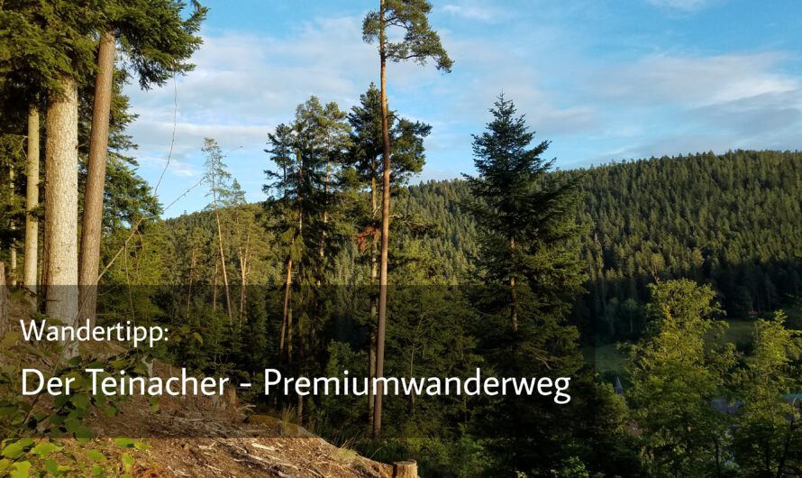 Wandertipp: Der Teinacher Premiumwanderweg bei Bad Teinach (Nordschwarzwald)