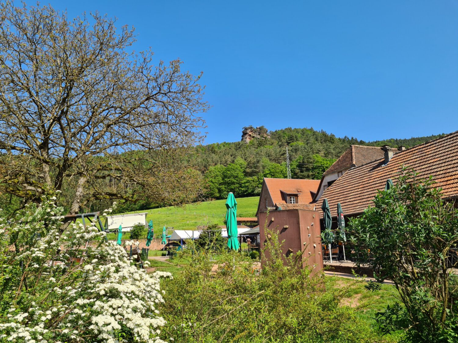 Der Bärenbrunnerhof im Pfälzerwald 